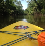 images/White Squirrel Paddle Boards Right.gif